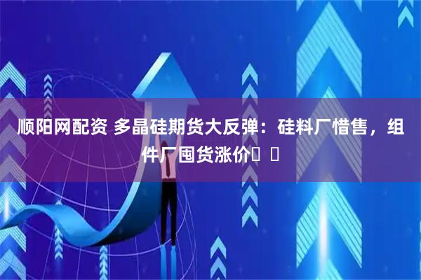 顺阳网配资 多晶硅期货大反弹：硅料厂惜售，组件厂囤货涨价​​