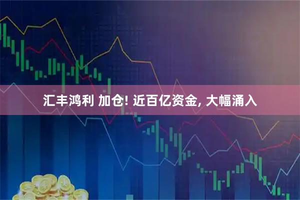 汇丰鸿利 加仓! 近百亿资金, 大幅涌入