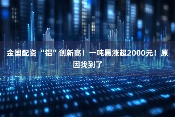 金国配资 “铝”创新高！一吨暴涨超2000元！原因找到了